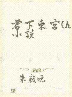 君下东宫(h)小说