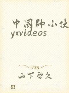 中国帅小伙gayxvideos封面
