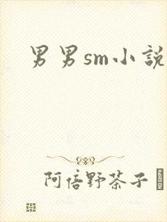 男男sm小说封面