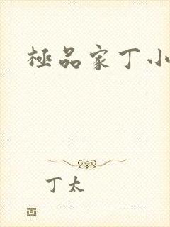 极品家丁小说封面