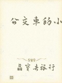 公交车的小说