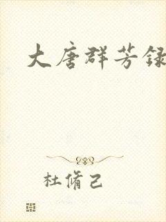 大唐群芳录封面