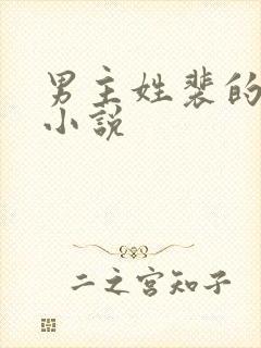 男主姓裴的现代小说