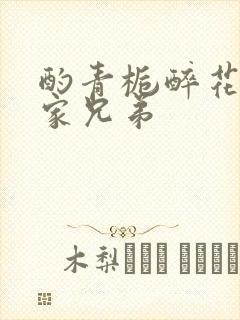 酌青栀醉花阴贺家兄弟封面