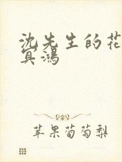 沈先生的花式调冥鸿