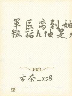 军区脔到她哭h粗话h他是疯批