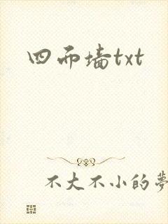四面墙txt