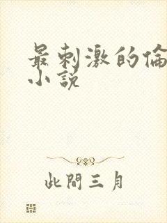最刺激的伦子伦小说封面