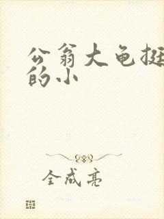 公翁大龟挺进我的小封面