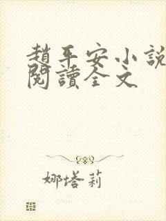 赵平安小说免费阅读全文