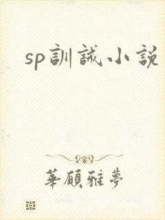 sp训诫小说