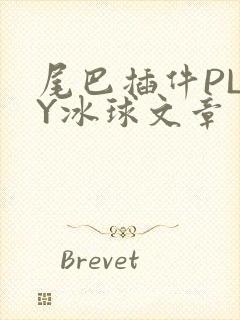 尾巴插件PLAY冰球文章