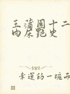 玉蒲团十二寡妇肉床艳史封面