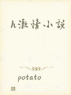 h激情小说