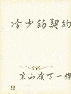 冷少的契约囚奴