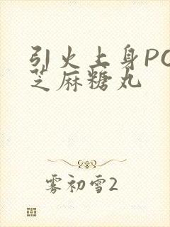 引火上身POP芝麻糖丸