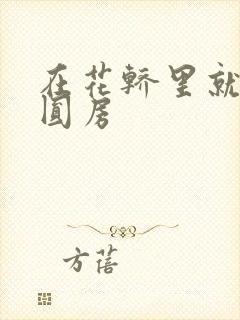 在花轿里就开始圆房