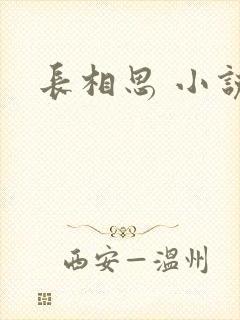 长相思 小说