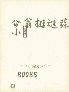 公翁挺进苏玥的小泬