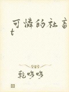 可怜的社畜txt封面