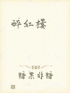 醉红楼封面