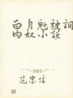 白月魁被调教成肉奴小说
