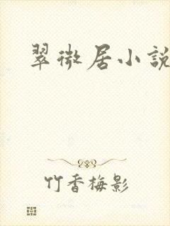 翠微居小说