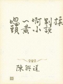 嗯～啊别揉我奶头黄小说