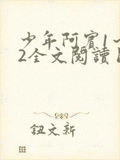 少年阿宾1～72全文阅读目录