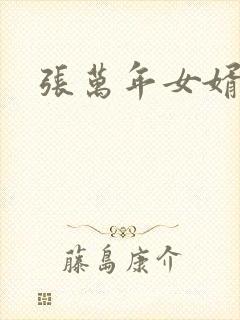 张万年女婿封面