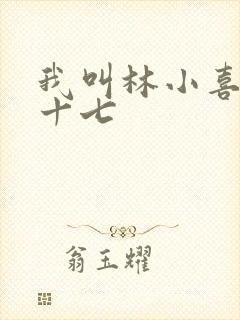 我叫林小喜今年十七