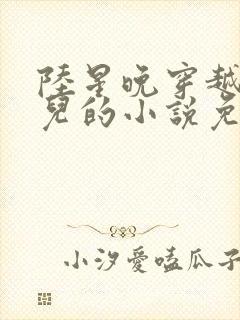 陆星晚穿越成婴儿的小说免费阅读全文