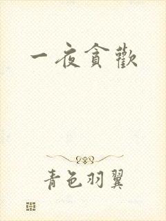 一夜贪欢