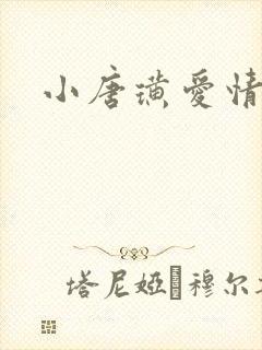 小唐璜爱情历史封面