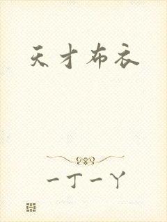 天才布衣封面