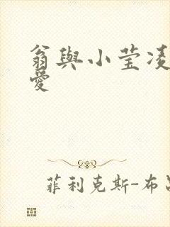 翁与小莹凌晨欢爱