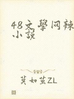 48文学网辣文小说封面