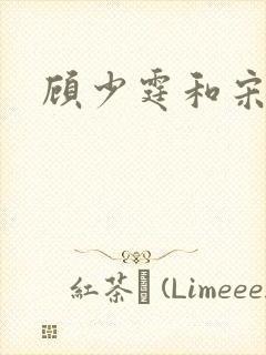 顾少霆和宋斯曼