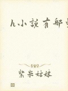 h小说有哪些封面