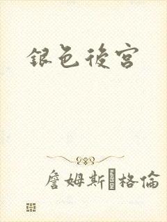 银色后宫封面