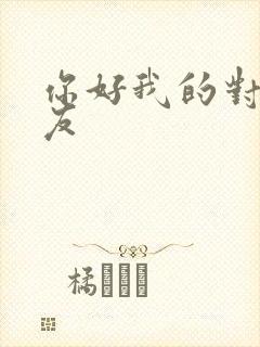 你好我的对面男友封面