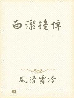 白洁后传封面