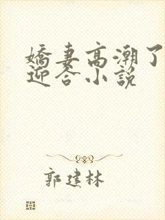 娇妻高潮了开始迎合小说封面