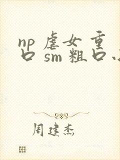 np 虐女 重口 sm 粗口小说