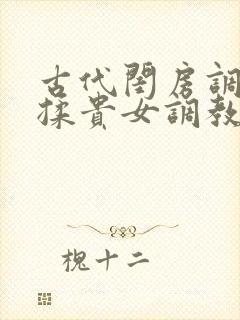 古代闺房调教h揉贵女调教记