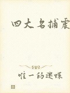 四大名捕震关东