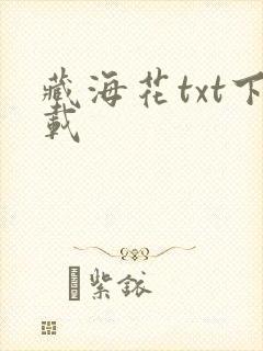 藏海花txt下载封面