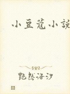 小豆蔻小说封面