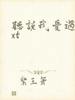 听说我爱过你txt