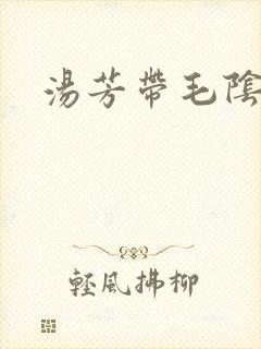 汤芳带毛阴部封面
